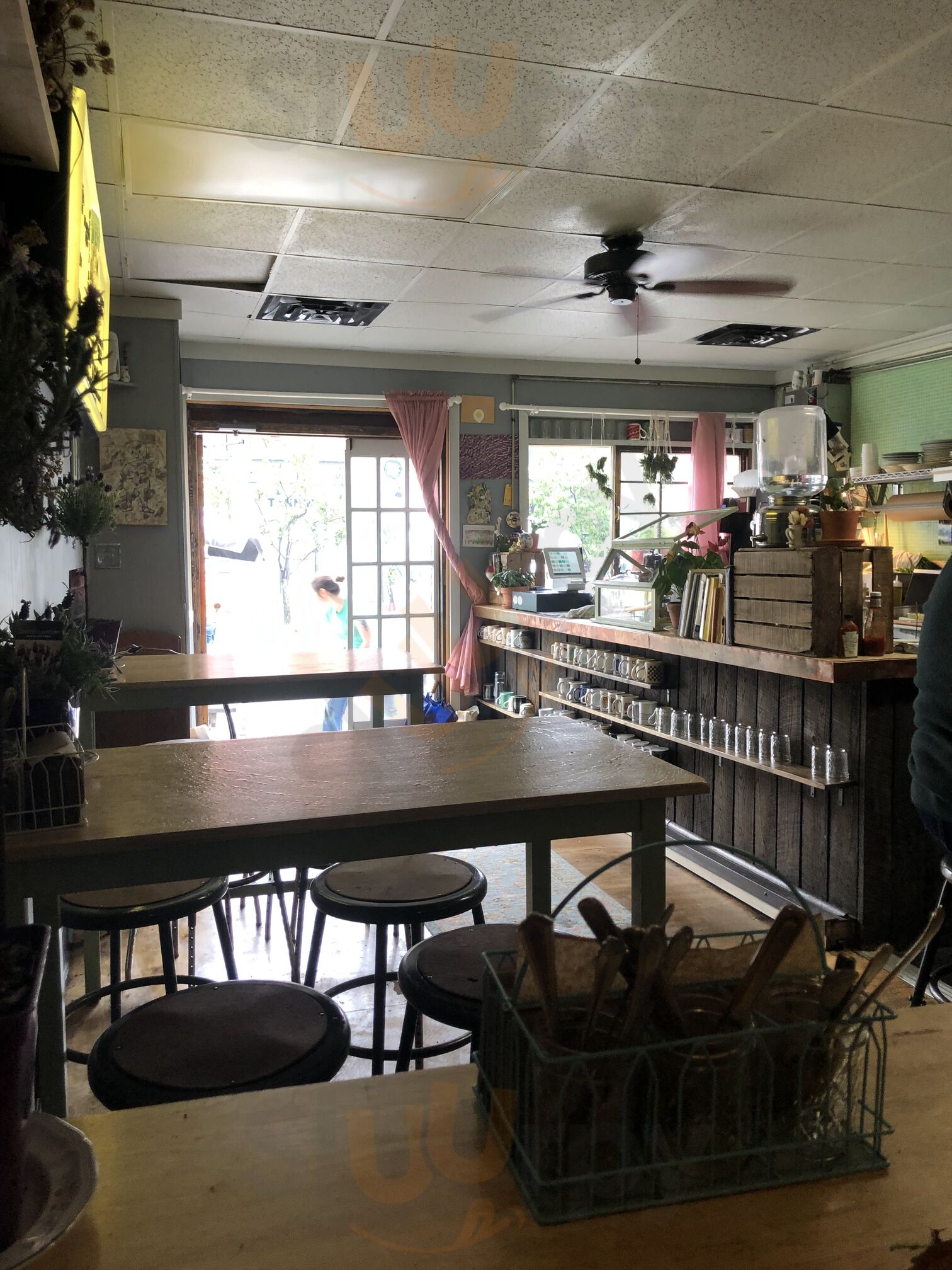 Bitter Ends Garden Luncheonette