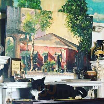 Flora Gallery & Coffee Shop