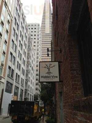 Hidden Vine