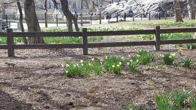 John's Of Times Square