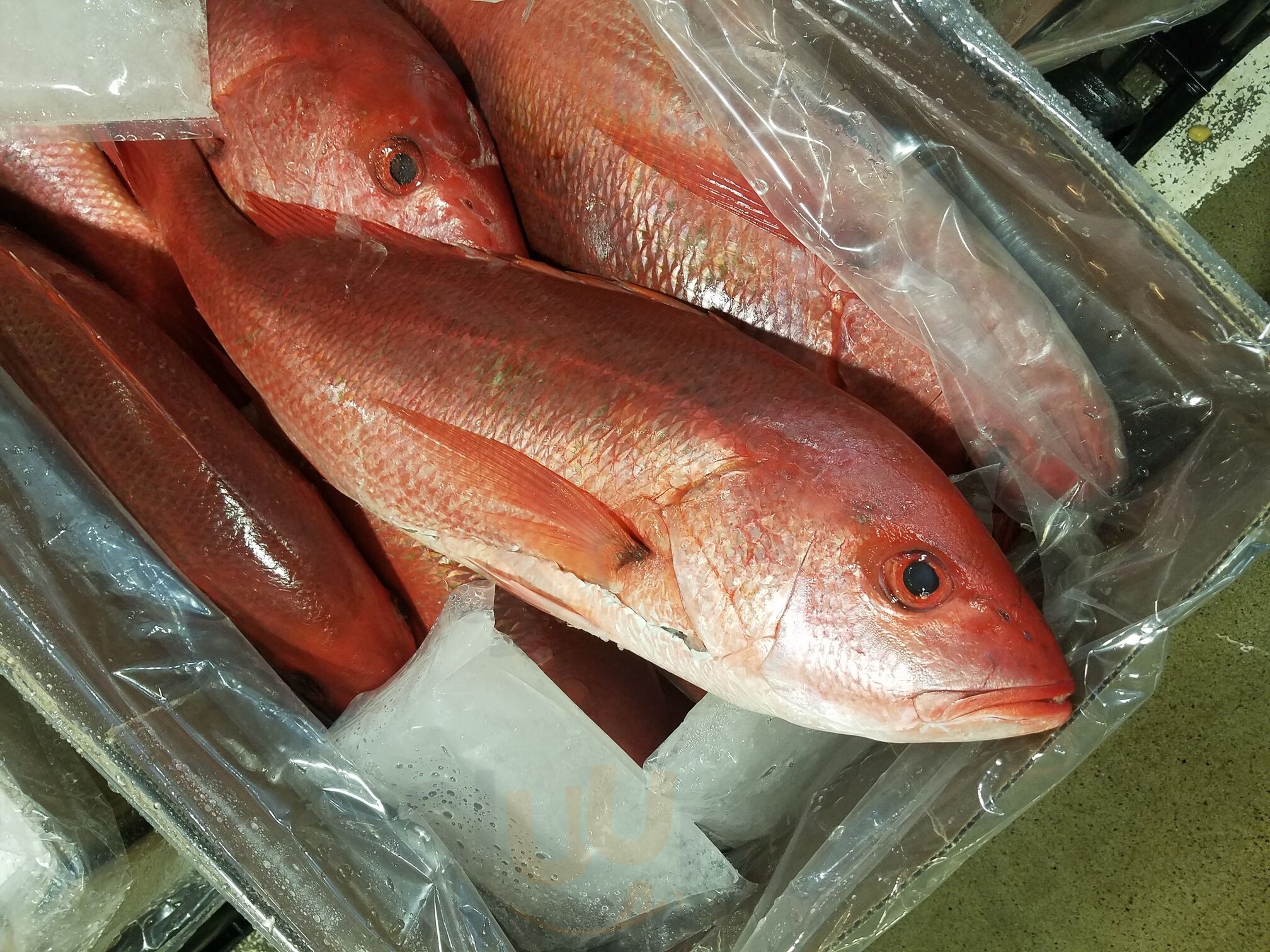 Monte's Seafood Emporium