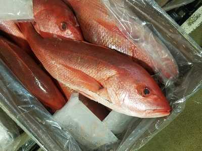 Monte's Seafood Emporium