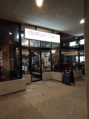 Mumbai Spice