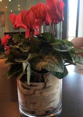 Nespresso Boutique Bar