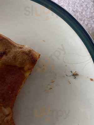 Rascal House - Euclid Oh