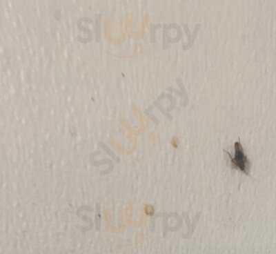 Popeyes Louisiana Kitchen