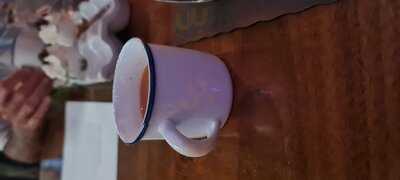 Edo Gastro Tapas & Wine