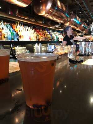 Cheeky Monkey Brewing Co