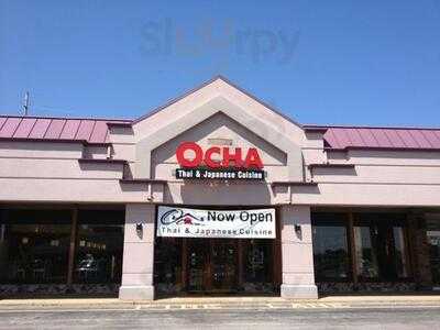 Ocha Thai & Japanese Cuisine
