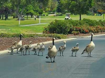 The Bistro Restaurant In The Villages