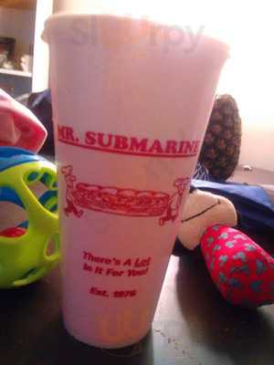 Mr Submarine