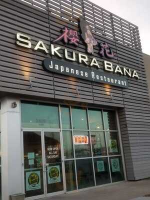 Sakura Bana