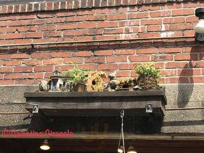 Cantina De San Patricio