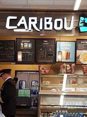 Caribou Coffee