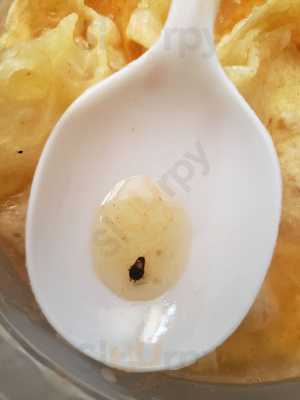 Lam's Chinese Restaurant