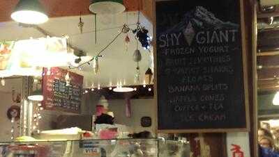 Shy Giant Frozen Yogurt