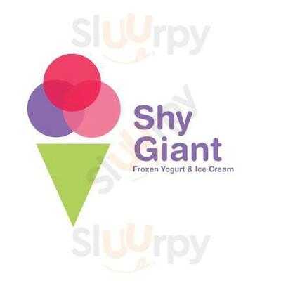 Shy Giant Frozen Yogurt