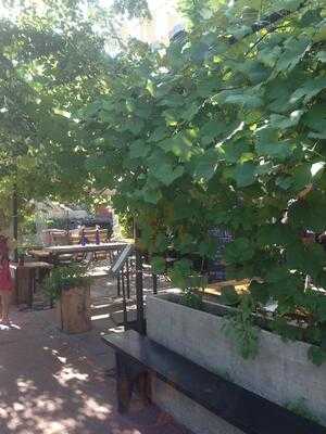 Foto 33301520