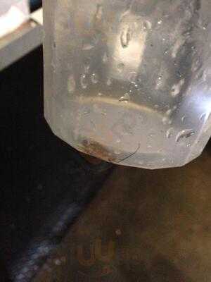 Penn Station East Coast Subs