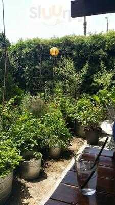 Foto 33410401
