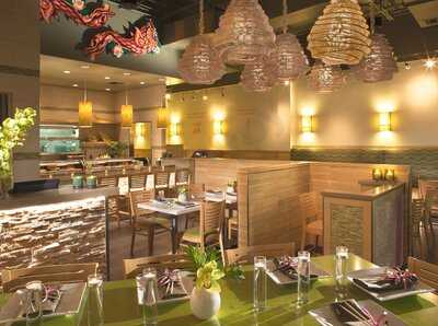 Sushi Maki (kendall)