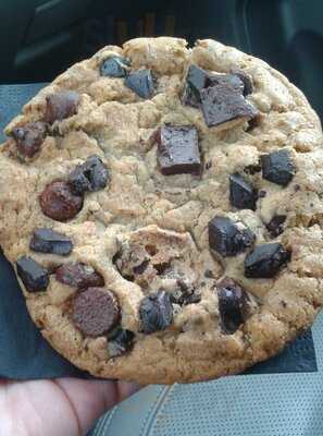 Caffeine Roasters Kennedy Tampa Fl