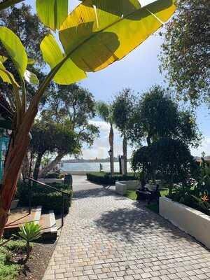 San Diego Burger Company