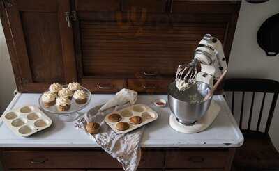 The Cupcake Collection- New Orleans