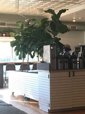 Lola Jean's Giveback Coffee