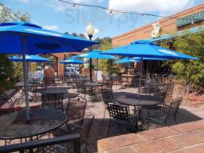 Mellow Mushroom Atlanta - Brookhaven