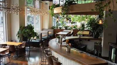 Mojoe Lounge Downtown