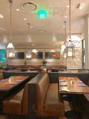 Blanco Cocina + Cantina