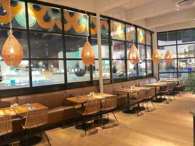 Blanco Cocina + Cantina