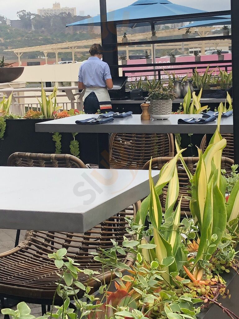 Blanco Cocina + Cantina