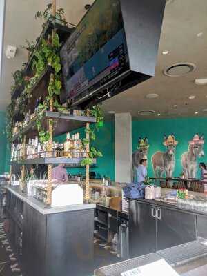 Blanco Cocina + Cantina