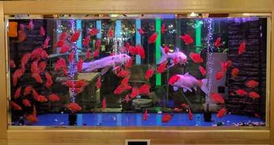 Canton 11 Restaurant