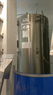 Brain Freeze Nitrogen Ice Cream & Yogurt Lab