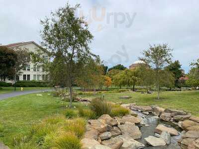 Sessions At The Presidio