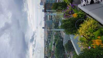 Lincoln Social Rooftop