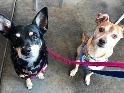 Point Loma Fish Shop