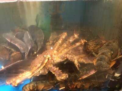 Peach Farm Restaurant