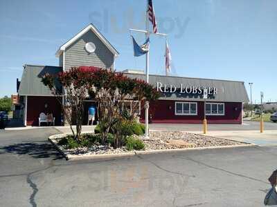 Red Lobster