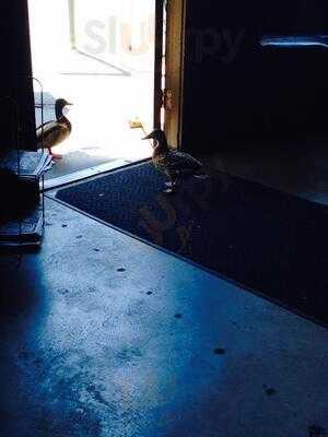 Bad Albert's Tap & Grill