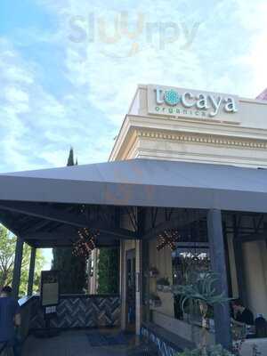 Tocaya - Sunset Plaza