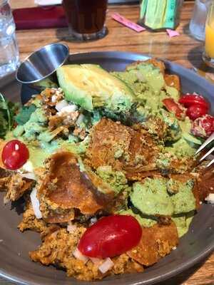 Great Maple - La Jolla