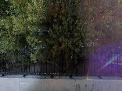 Paradise Garden Buffet