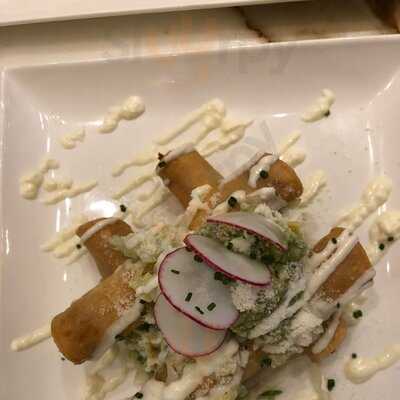 Lucky Penny At Palms