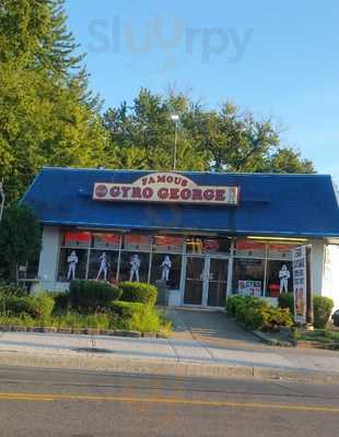 Famous Gyro George