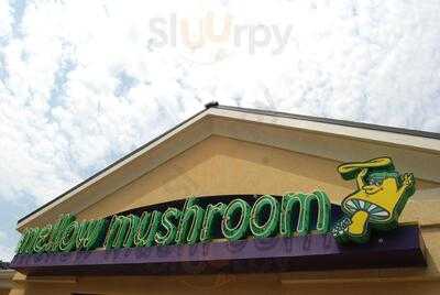 Mellow Mushroom Atlanta - Buckhead