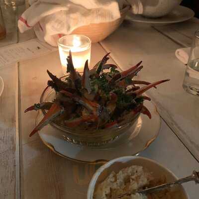 Mosquito Supper Club